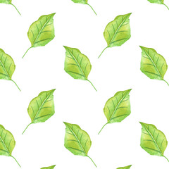 Simple and cute green watercolor leaves pattern. Spring branches and leaves isolated on white background. Real watercolor painting.
