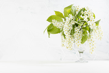 Fresh scented summer bouquet of white bird cherry branch with lush bunches of tiny flowers in glass vase in elegant white interior of living room with marble tile wall and wood table, copy space.
