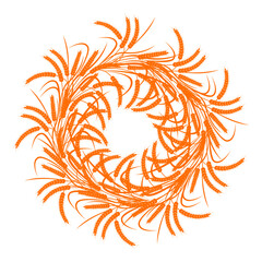 Fototapeta na wymiar Circle, wreath of ears of wheat on a transparent background