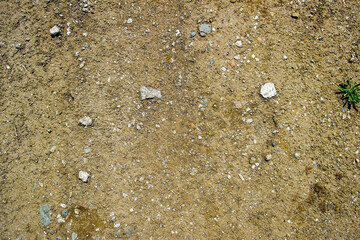 Dry soil texture and background. Brown soil background. Abstract ground. Natural abstraction. Green grass. Stones