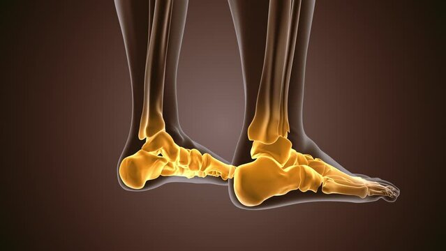 3d render of human figure ankle pain