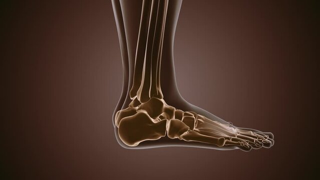 close up of foot joint pain