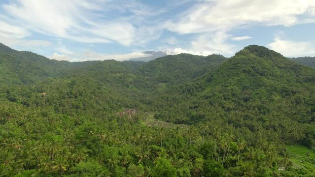 Karangasem Regency aerial mountains landscape of wild rainforest jungle vegetation rural east part of bali island indonesia