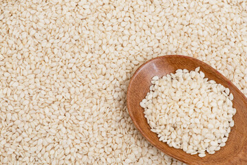White sesame seeds in wooden spoon on white sesame seeds background.