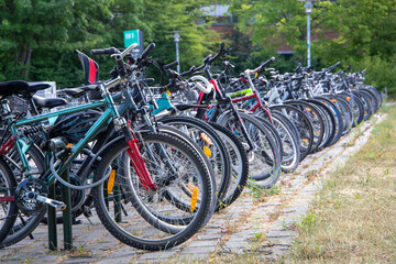 Fototapeta na wymiar parking bicycles in the park