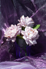 lilac roses in a blue glass on a chair against a background of purple chiffon