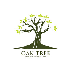 Oak tree logo template vector.