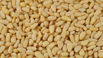 Pine nuts. Whole peeled pine nuts close up 