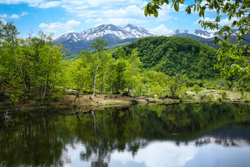 Fototapeta premium 乗鞍高原・まいめの池周辺のさわやかな6月の風景