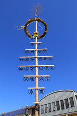 A guild tree with guild sign in Lübben (Spreewald) - Germany