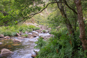 Obraz premium river flowing among stones from the mountains