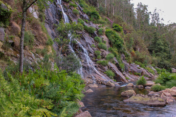 Fototapeta na wymiar stream in the mountains