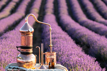 Distillation of lavender essential oil and hydrolate. Copper alambic for the flowering field. - obrazy, fototapety, plakaty
