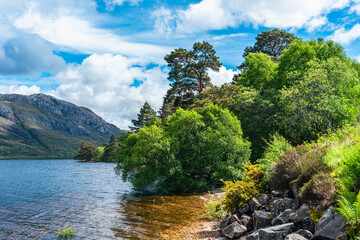 Fototapeta na wymiar Loch Maree and Slioch, Wester Ross, Beinn Eighe National Nature Reserve, Highland, Scotland, UK