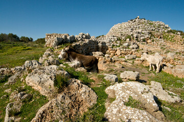 Fototapeta na wymiar Santuario y Talayot Son Na Caçana, siglo X antes de Cristo. Alaior.Menorca.Balearic islands.Spain.