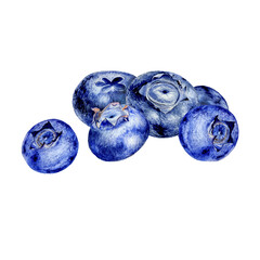 Watercolor illustration of blueberries on white background