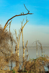 Lake Nakuru Park in Kenya