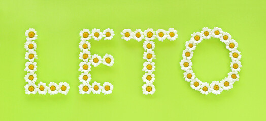 Fototapeta premium Word LETO means Summer in the Slovak language. Letters made of white daisies on bright light green background. Small chrysanthemums (Leucanthemum paludosum) look like chamomiles. Hello summer concept.