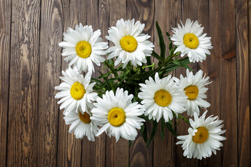 bouquet of daisies on a wooden background. copy space