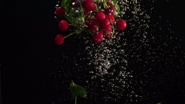 Cherry falling into water on black background. Fresh red berries with green leaves splashing into clear water, underwater air bubbles. Cherries falls into the water in container aquarium slow motion 