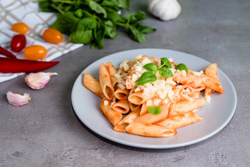 Pasta penne alla arrabiata with basil and cheese on gray background. Classic italian pasta penne with chili sauce arrabbiata. Banner format.