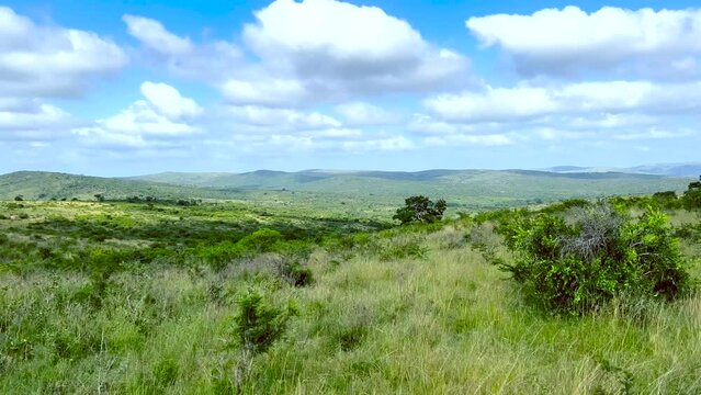 Naturreservat Hluhluwe Imfolozi Park S&uuml;dafrika