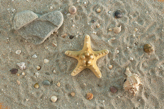 Starfish, heart-shaped stone, shells on the beach sand. Summer trendy vacation concept. Sunset. Flat lay. Top view.