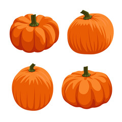 Orange pumpkin vector illustration in cartoon style. Pumpkin for thanksgiving on white background. Autumn fruit. Harvest. Isolated.