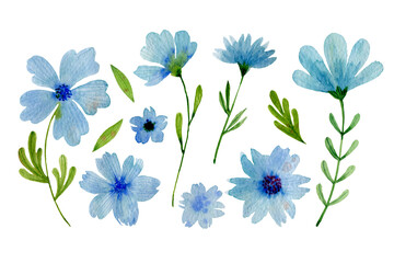 Set of blue watercolor flowers and green leaves. Watercolor illustration isolated on white background.