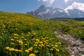 Fototapeta na wymiar alpine landascape in val badia,alto adige,italy