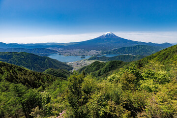 Fototapeta na wymiar 新緑が綺麗な新道峠から見える富士山