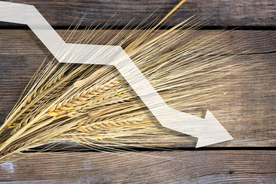threat of world hunger and food crisis, problems with the supply of food, spikelets of wheat on a wooden background with an arrow indicating a decrease