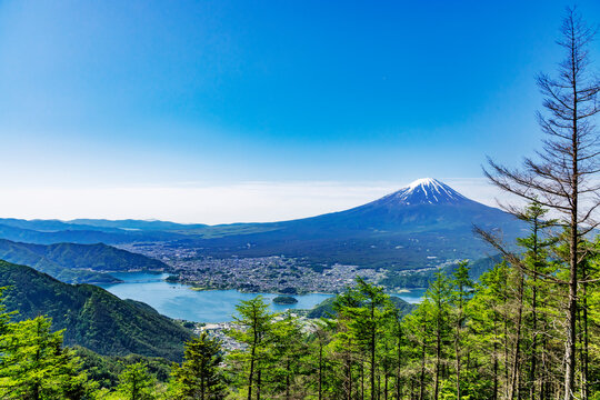 新緑が綺麗な新道峠から見える富士山
