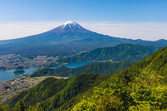 新緑が綺麗な新道峠から見える富士山
