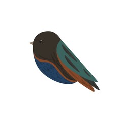 Two bird couple. Cute heart. Pink and blue color. Love Greeting card.