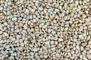 Fresh coffee grains drying under the sun