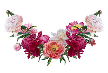 watercolor summer flowers - colorful peonies in botanical style