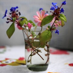 Blumenvase
