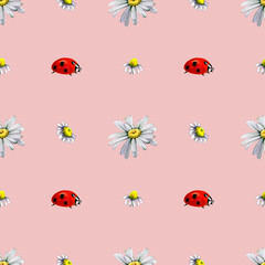 Seamless pattern chamomile ladybug watercolor. Summer background of buds of white daisy flowers. Flowering plant. Hand drawn botanical illustration. Fabric design, packaging.