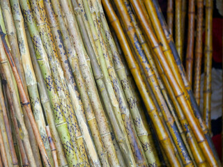 Designer Bamboo Sticks stock, ready to be sell in Market