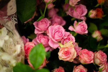 roses
