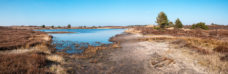 Panoramic view of Little Pond at the National Park Duinen van Texel, Texel Island, The Netherlands