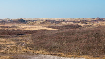 Landscape view of the National Park Duinen van Texel, Texel Island,  The Netherlands