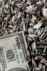 Dollars banknotes and sunflower seeds, oleaginous Commodity value concept.