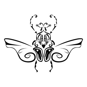 A stylised image of a beetle spreading its wings, drawn with black lines on a white background. Decorative element in the form of a beetle