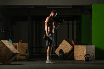 Side view photo of a young bodybuilder training dumbbell alternate biceps curl in home gym