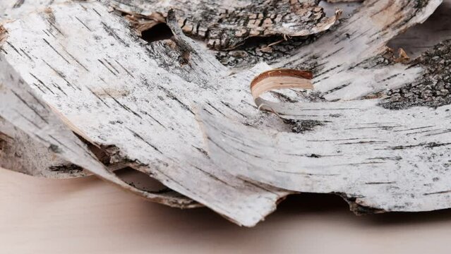 Thin light birch bark rotates on wooden plywood. Slow motion.