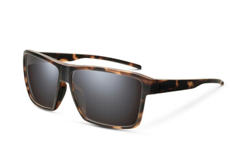Sunglass
