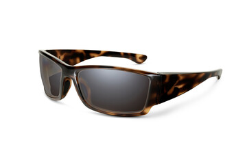 Sunglass
