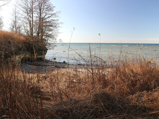 The Baltic Sea beach in Estonia